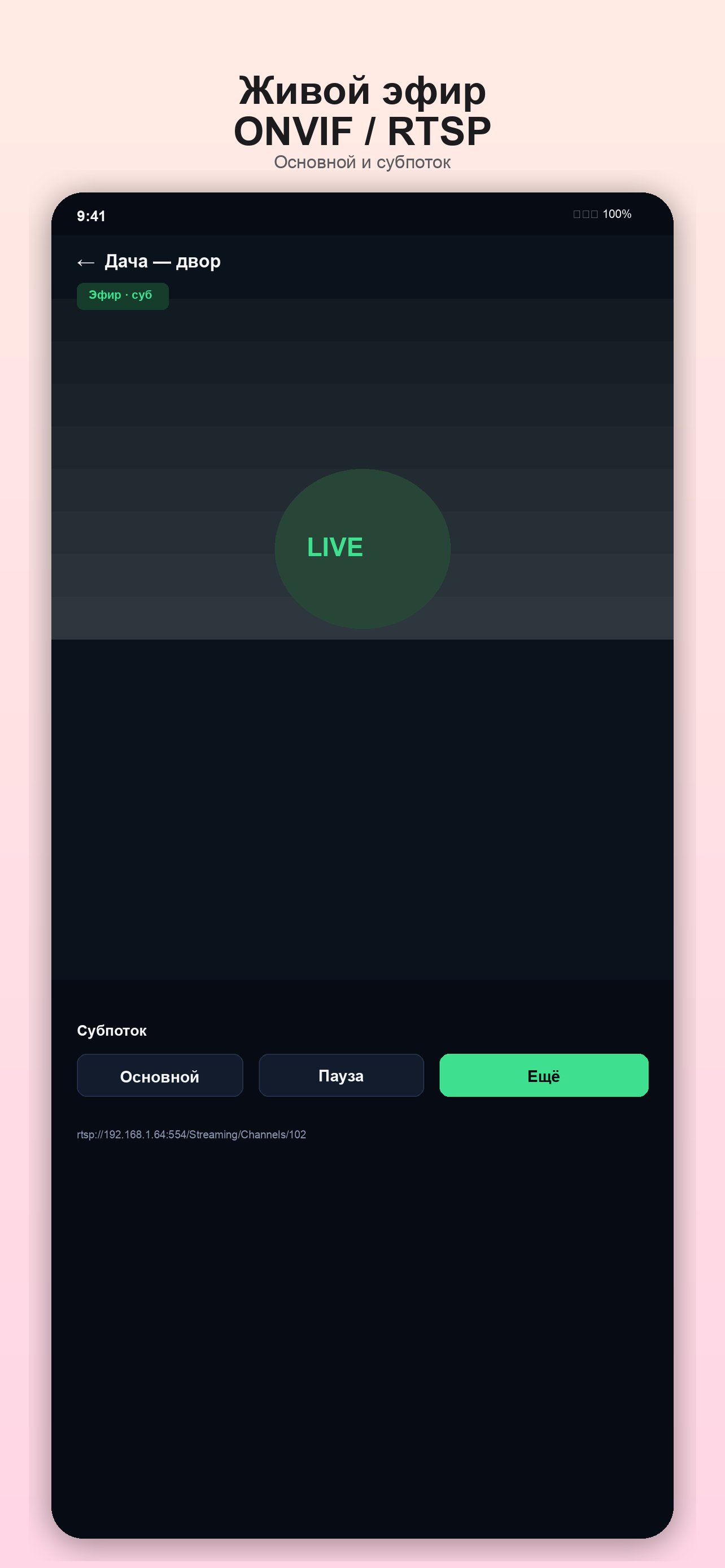 LanCam Viewer — скриншот 3